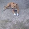 costi